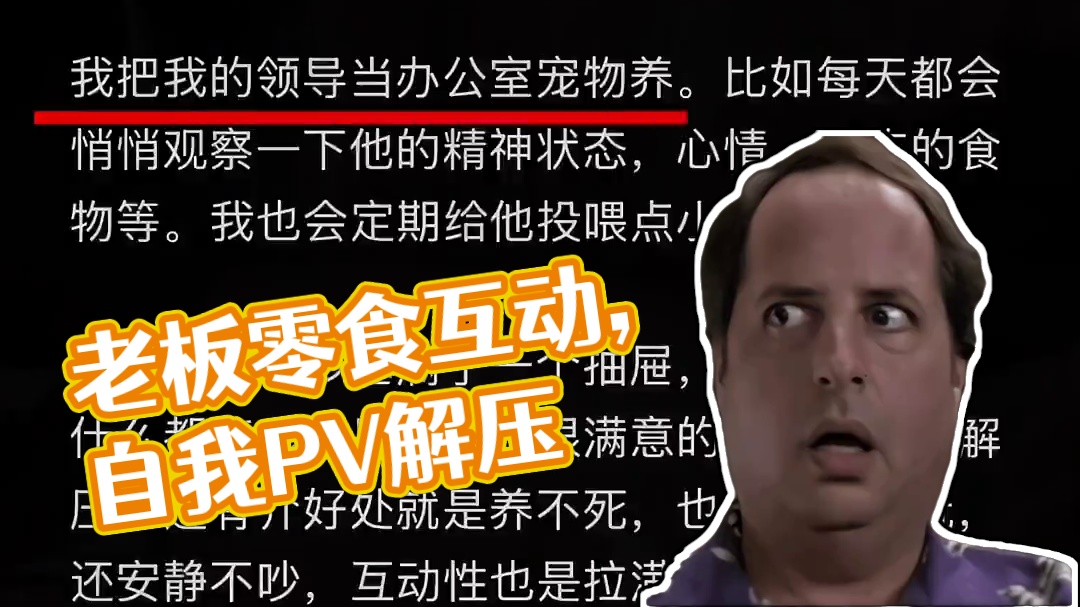 小众解压爱好 把老板当宠物养#解压 #宠物 #杀心