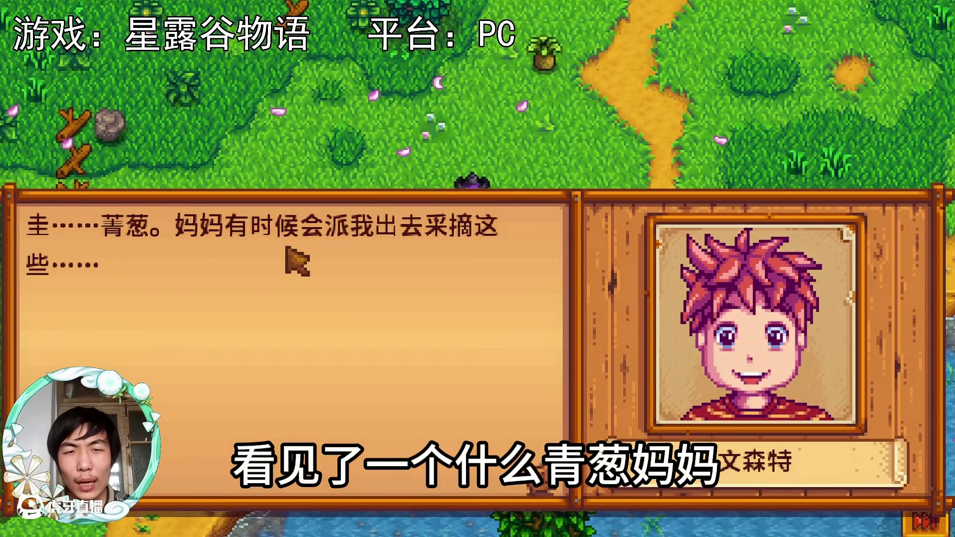 【星露谷物语】文森特，青葱与青虫！