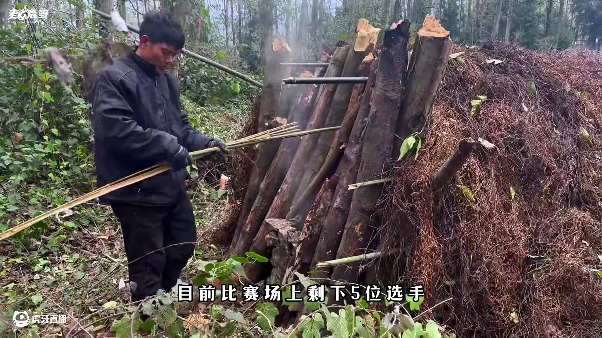 老六荒野  樟树营杯  荒野生存积分赛  第四天 #真实户外 #野外生存 #野外生存技能 #荒野 #