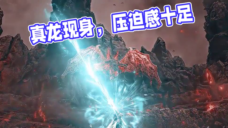 这才是真正的龙，压迫感十足！#艾尔登法环 #贝勒