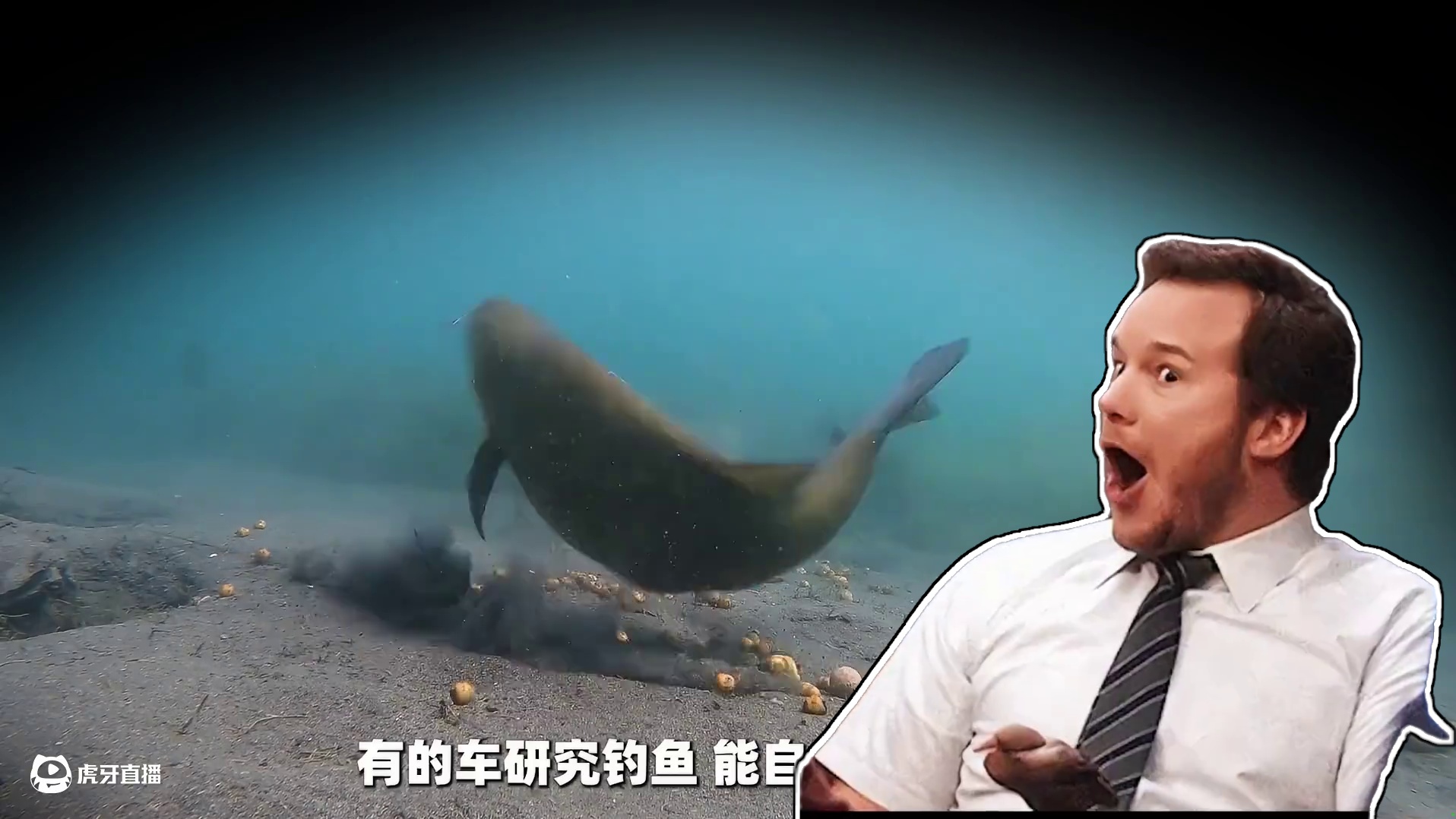 一个好的设计会影响潮流的走向 一个好的想法会改变人类的未来 一个好的设计会影响潮流的走向 一个好的想