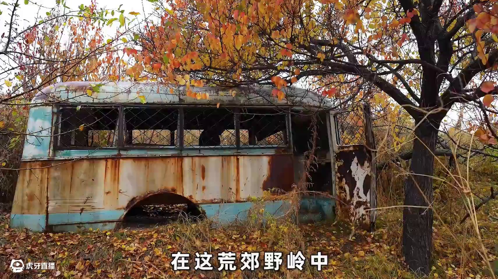 男人将废弃巴士改造成庇护所#荒野建造 #野外露营 #户外生存 #野外生存