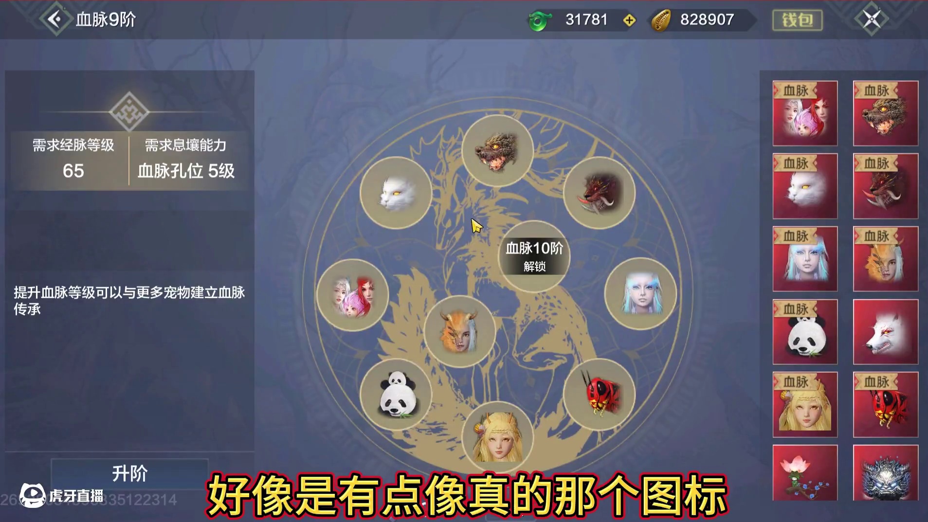 新的十血脉孔会长什么样呢？ 体验服十血脉/仓库上限的解锁材料 怎么还得20个百年蛋啊#妄想山海 #十