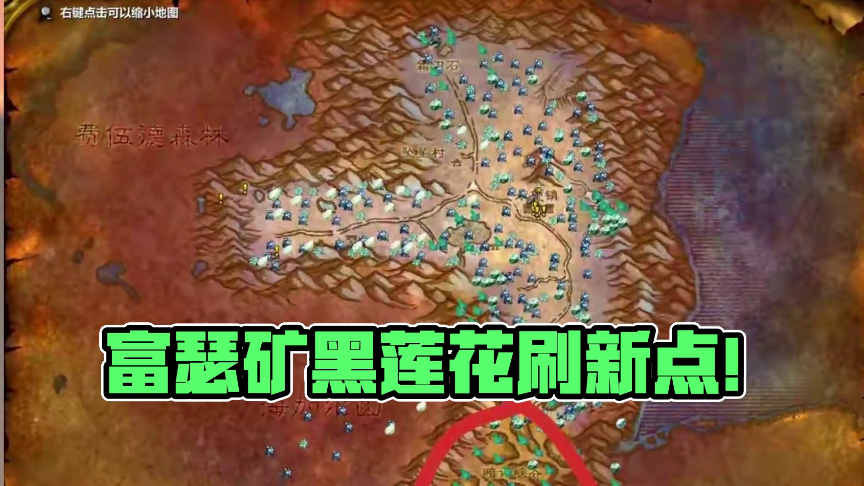 富瑟矿.黑莲花.刷新点！ #魔兽世界二十周年 #魔兽世界 #魔兽世界怀旧服