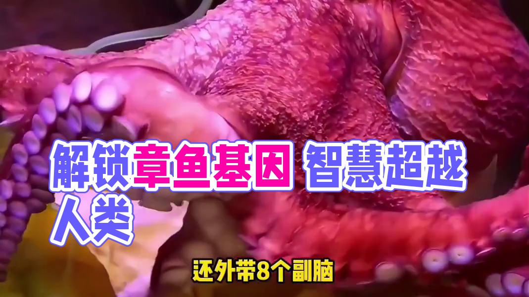 把章鱼的基因锁解开 它是不是就能替我去上班了