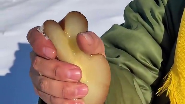 一句哈尔滨我恨你，让哈尔滨文旅追到家#哈尔滨  #旅游 #南方小土豆  #哈尔滨让我感到陌生 #东北