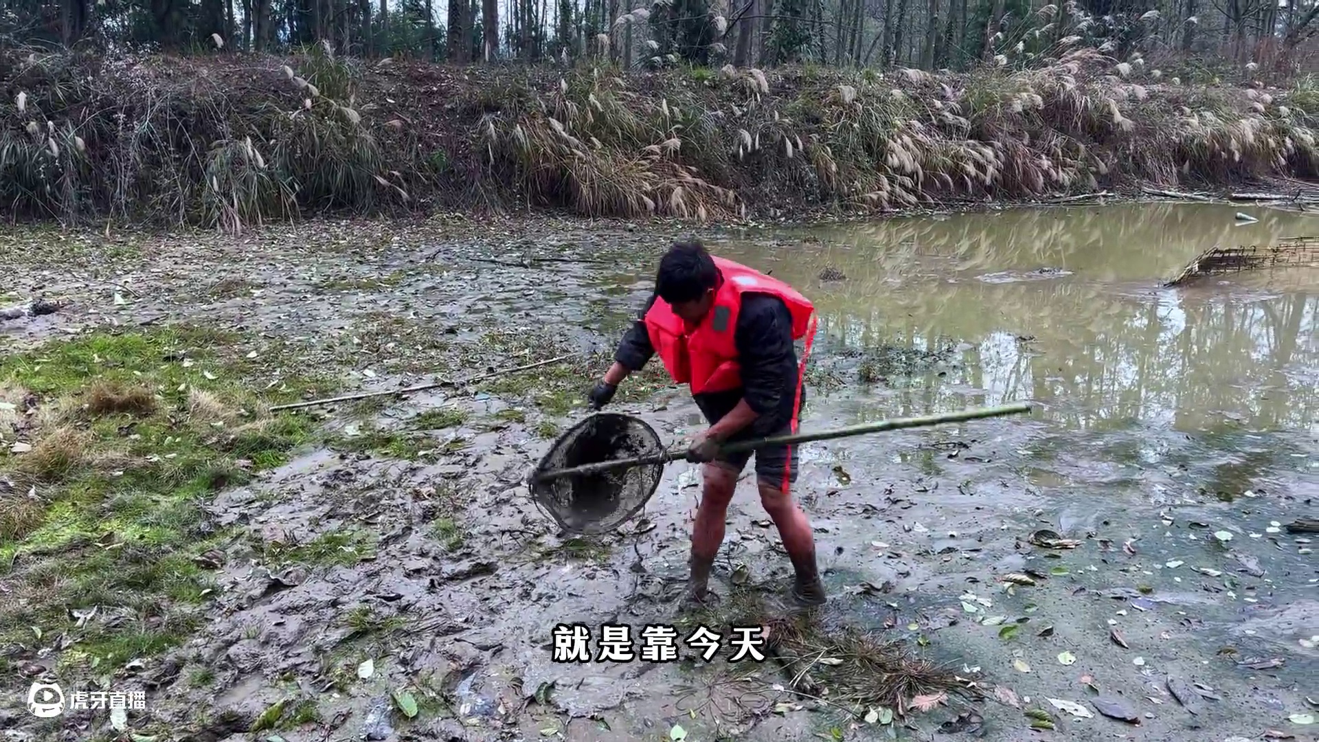 老六荒野  樟树营杯  荒野生存积分  第六天 健哥放出大杀招，打破赛事稳定局面！！#真实户外 #野