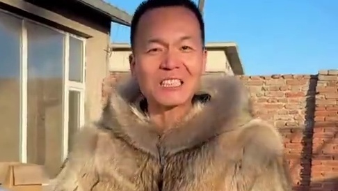 虎子：这里好不好，我能不知道吗！！#潘宏爱玩狗 #狗狗 #搞笑 #狗狗虎子