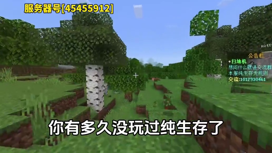 【我的世界】纯生存服务器#我的世界