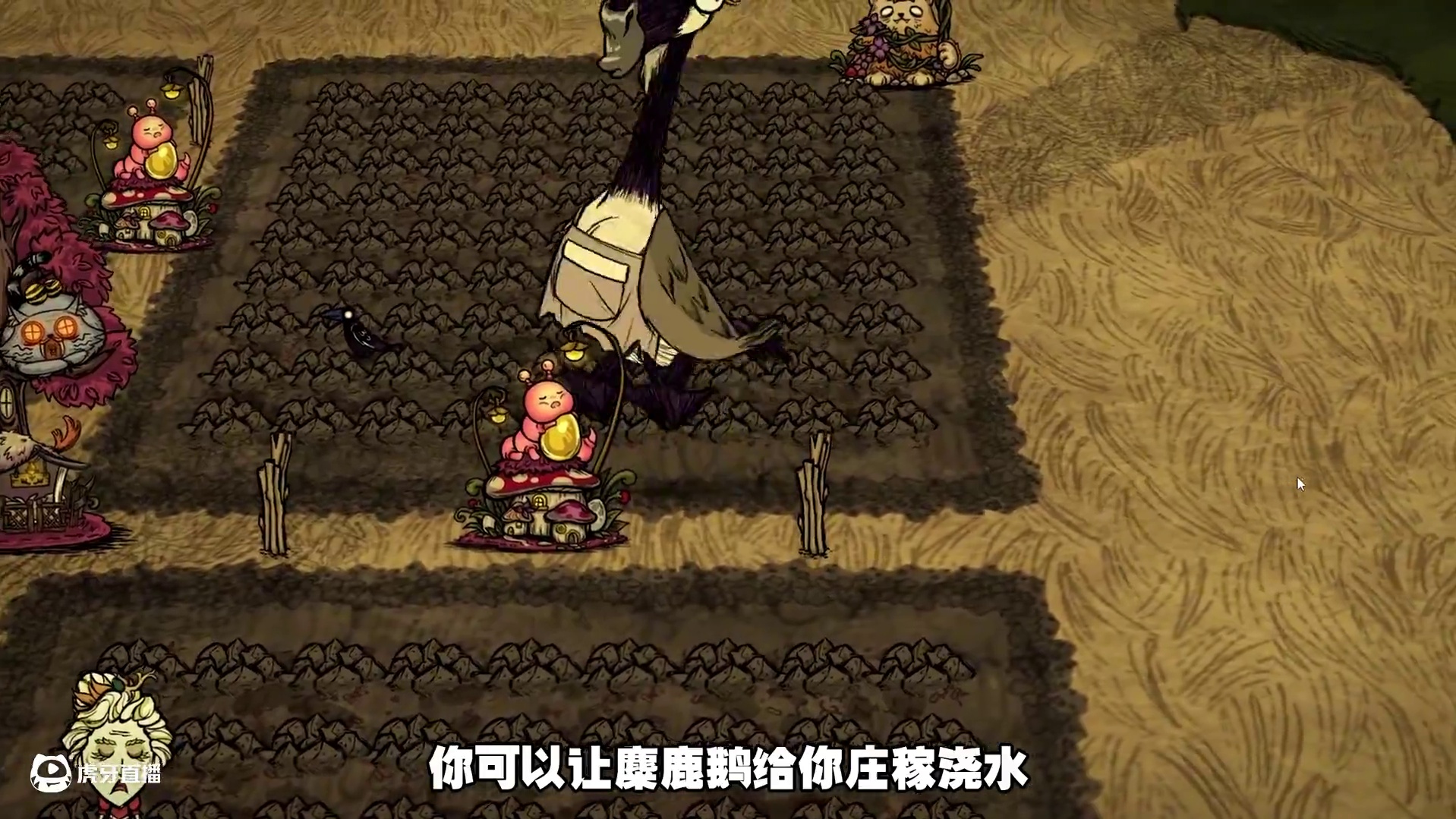 饥荒联机版：让饥荒的动物们帮你种地 #饥荒 模组：童话世界