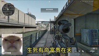 《鼠王日志》全是高手。