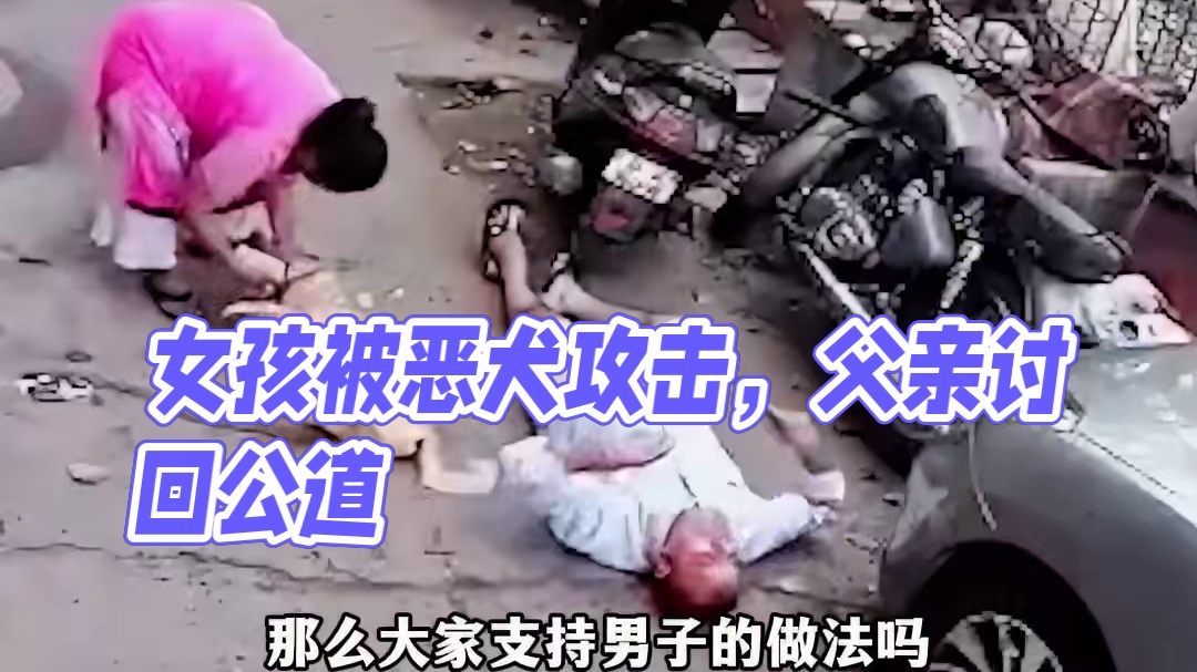 恶犬咬女孩，女孩父亲讨回公道#真实事件 #狗咬人事件 #监控下的一幕 #内容启发搜索 #美团团购