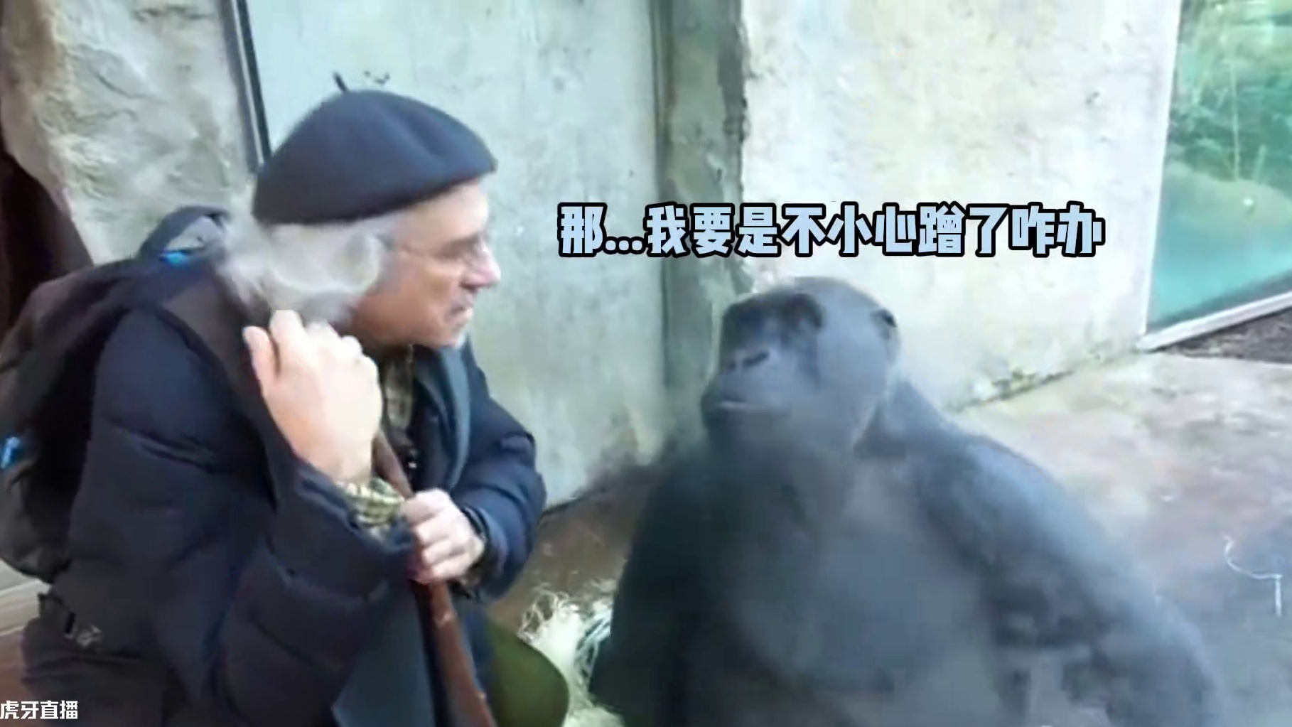 猩猩：我今天算是遇上贵人了！