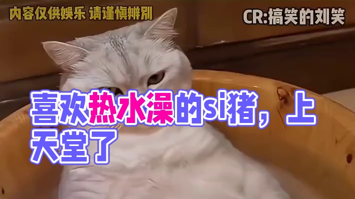 真的特别喜欢洗热水澡，有种si猪不怕开水烫的感觉