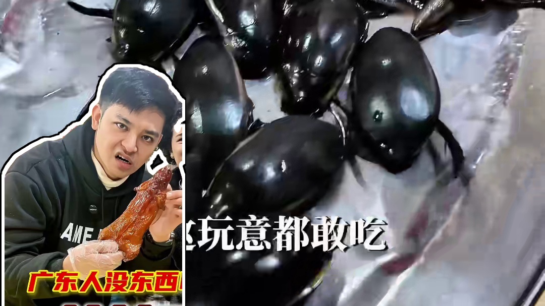 老鼠肉！水蟑螂！广东人你们还有什么不敢吃！！！ #钟村三宝 #老鼠肉  #广东人真的什么都吃 #人间