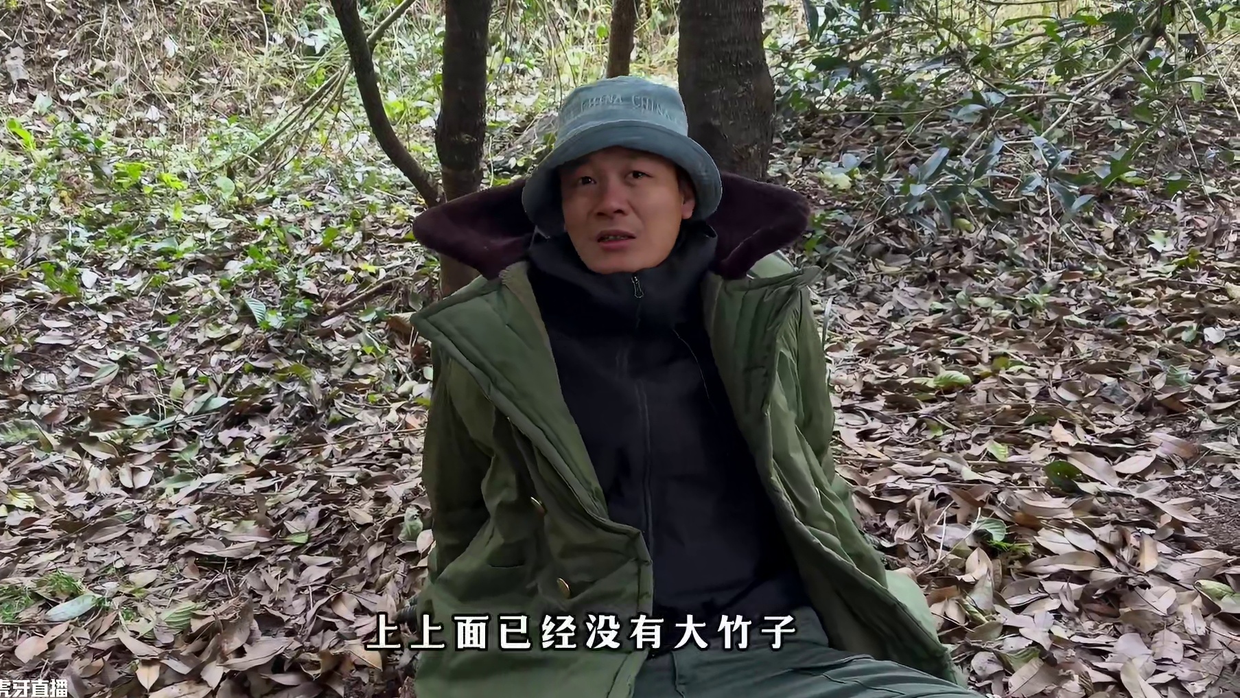 老六荒野  荒野生存积分赛  樟树营杯  第7—8天 这两天的故事有些多，选手都选择吃瓜了！！！#野