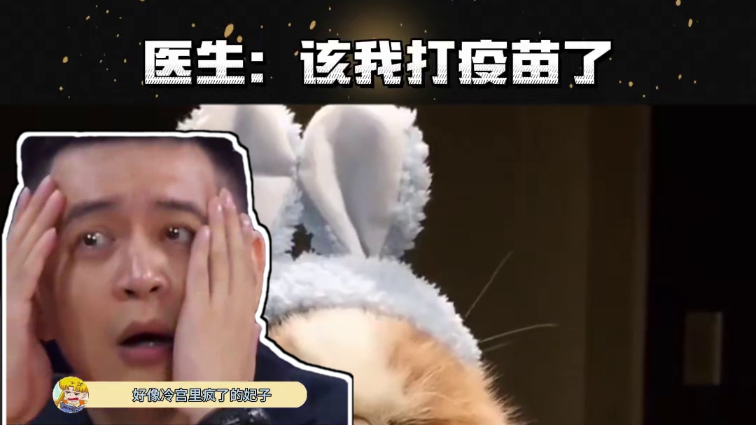 狗：你也去打一针！！！#看一遍笑一遍 #内容过于真实 #狗子成精了