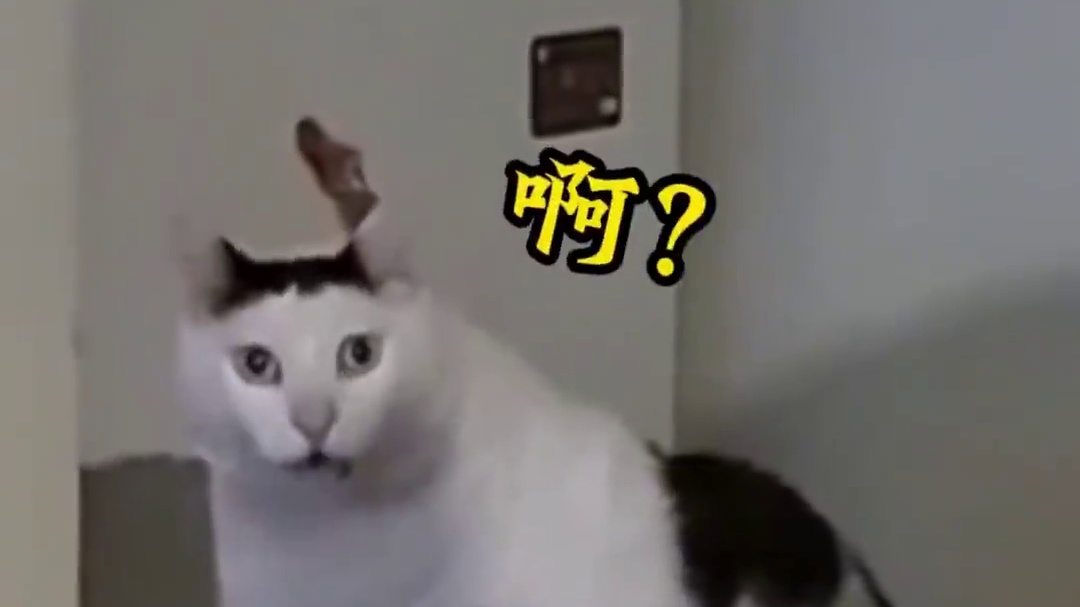 太好了！我们有救了！新活动送旧活动的活动材料啦！#dnf 