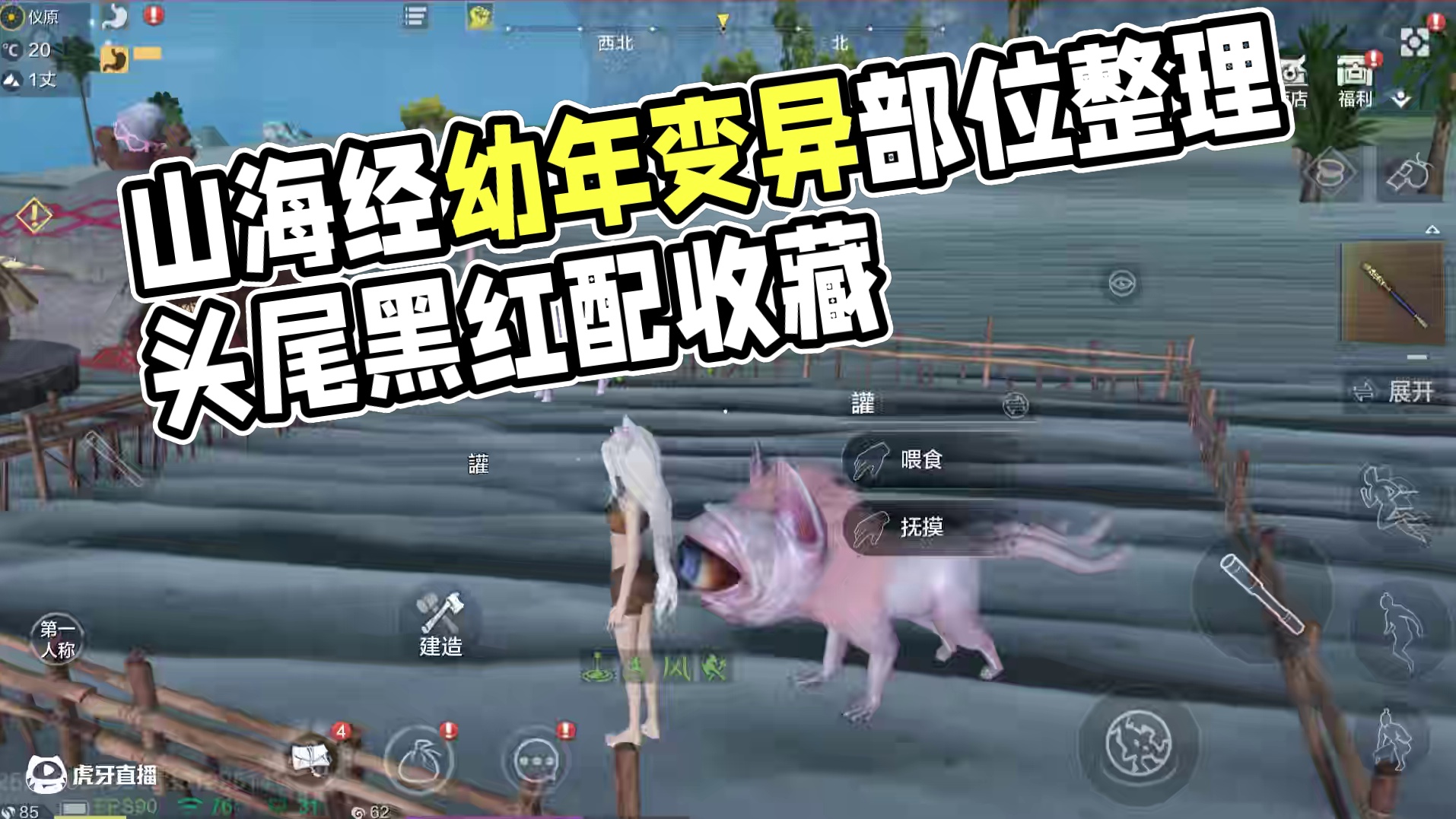 体验服畜牧系统 每周养殖的幼年有限 什么样的幼年更值得养？山海经幼年【可变异部位】整理#妄想山海 #