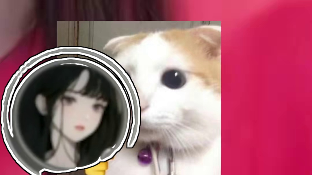 我发布了一个新视频，快来围观吧！