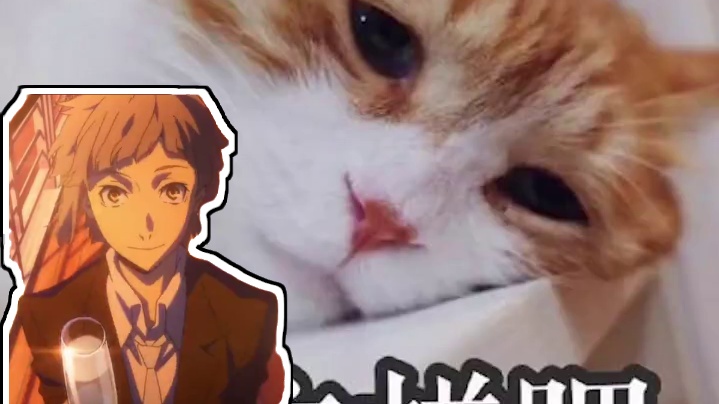 DM别回头 #第五人格 #第五人格真理之下 #双黑 #名侦探柯南酒厂