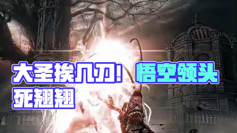 大圣来了都得挨几刀！#艾尔登法环 #黑神话悟空