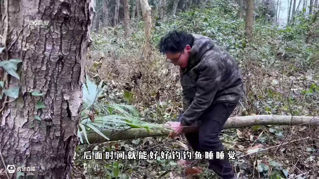 老六荒野  樟树营杯  荒野生存积分赛  第11天—12天 小杰的庇护所烧了？#野外生存 #真实户外