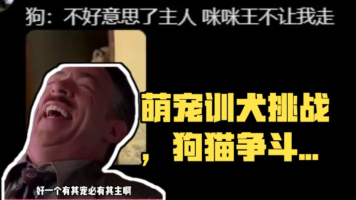 猫：看什么看…我训它跟我主人训你一样#萌宠出道计划 #狗子的心思都写在脸上了 #妻管严 #万万没想到