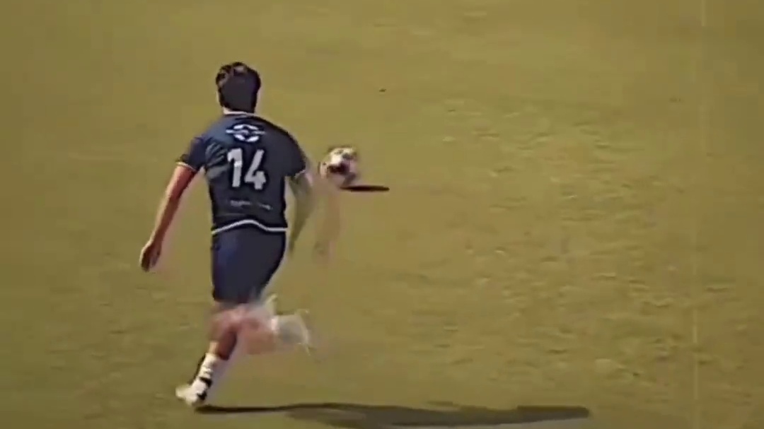 “靠我们这配合你连球都碰不到”#足球