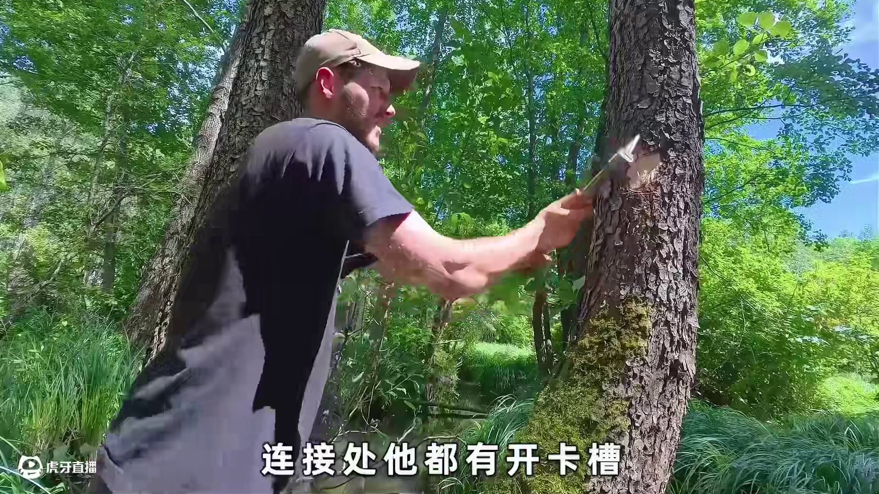 当雨林发生洪水威胁时，这个庇护所就是最安全的家#荒野建造 #木屋建造 #原始技术 #野外生存 #原始