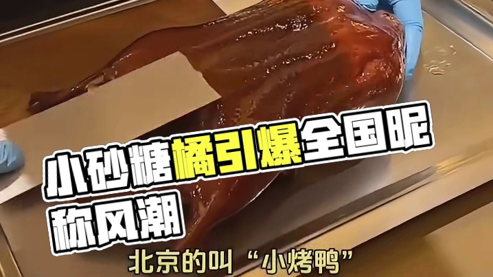 自从小砂糖橘火了， 说各省的小朋友都有昵称了