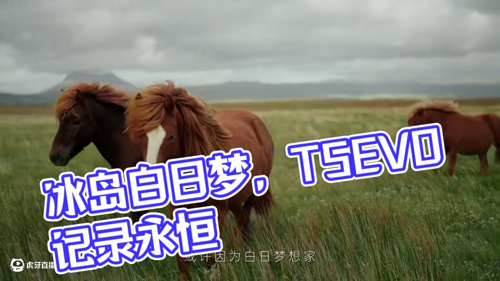 我在冰岛实现了「白日梦」，帧帧瞬间就是永恒！
#带着T5EVO去旅行#三星T5EVO#移动硬盘#照片