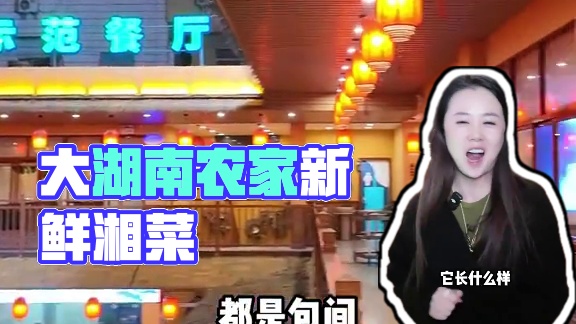 大湖南.农家大院158可以吃农家新鲜湘菜，都是肉眼可见的新鲜，喜欢的宝子一定不要错过哦！#大湖南农家