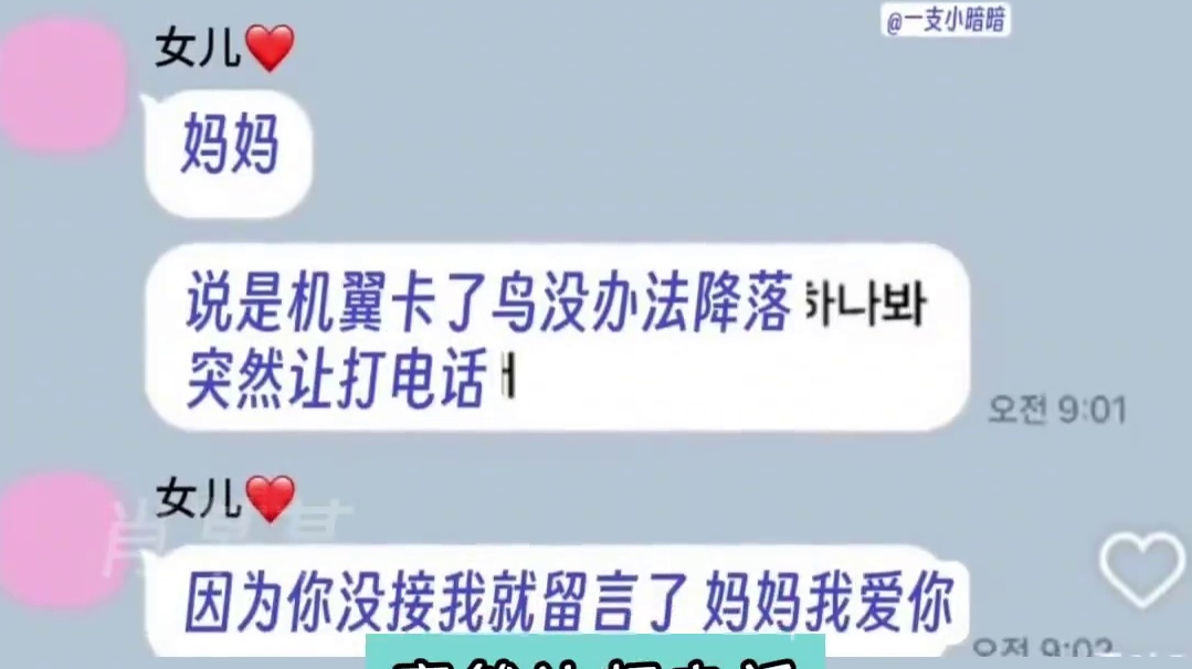 最后一条短信：妈妈我爱你 #感人 #韩国起火客机179人遇难