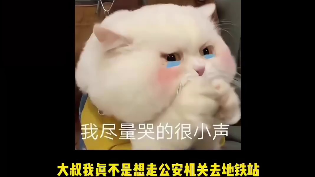 高德：死路也是路