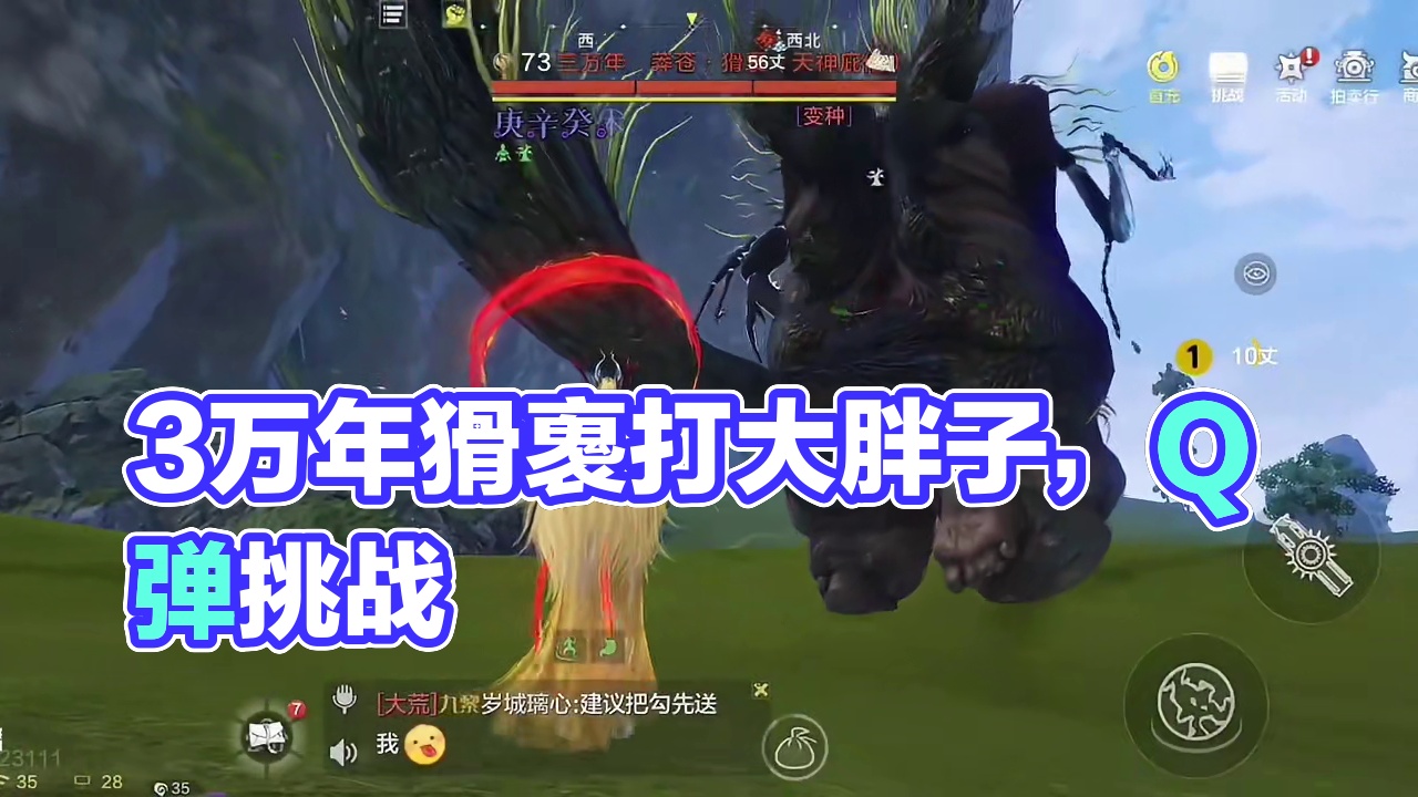 新野宠 3万年猾褢（木猪）看起来笨重其实还挺敏捷Q弹 