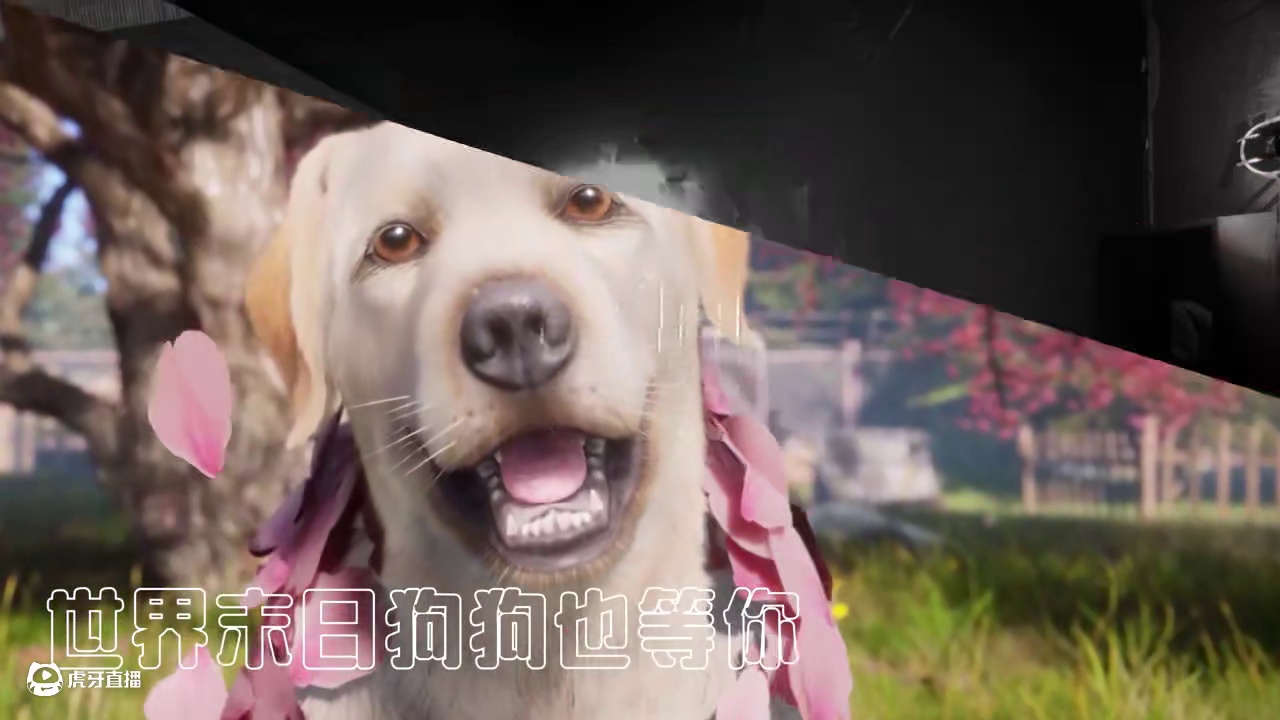 幸存者，新年快乐！和2024挥手告别，拥抱崭新的2025！新的一年，相信明日会有好事发生~#明日之后