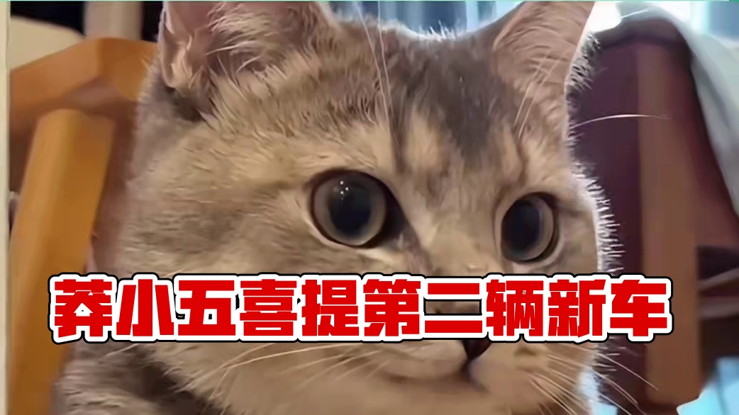 恭喜莽小五喜提第二辆新车