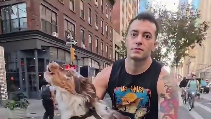 小祖宗，你是一只长毛救护车 #汪星人 #遛狗遛出显眼包 #搞笑