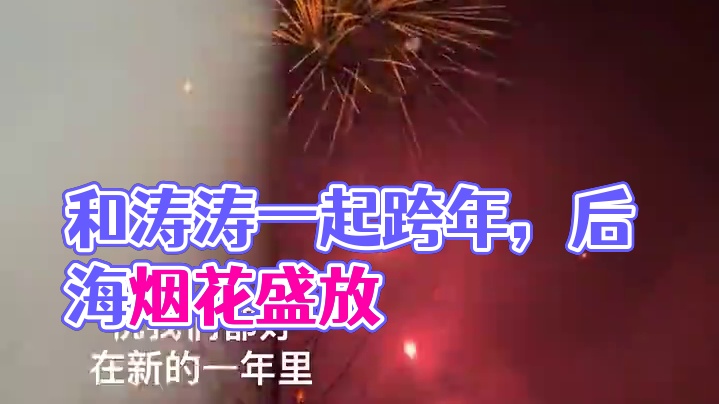 今年是和涛涛一起跨年的！#2025 #烟花#后海
