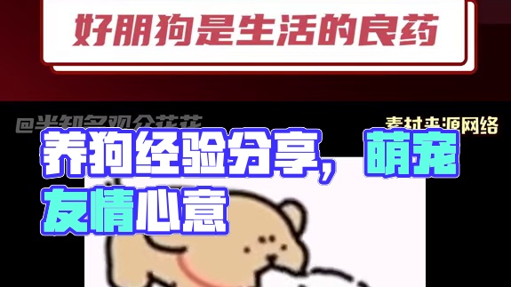 养过狗的都懂，为了小狗没什么干不出的啊！#狗狗 #友情 #萌宠