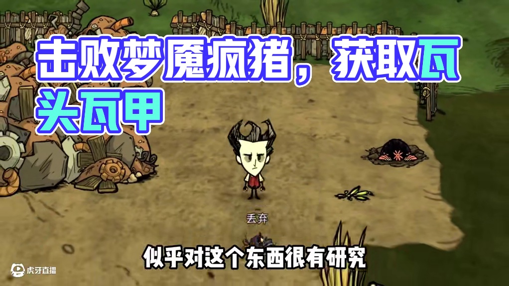 饥荒新手教程第20期：击败梦魇疯猪，拾荒疯猪，获取瓦头瓦甲 #饥荒 #饥荒联机版 #饥荒新手教程 #