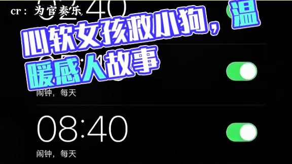 世界破破爛爛，心軟的人縫縫補(bǔ)補(bǔ) #狗狗 #治愈  #溫暖 #生命 #這誰頂?shù)米“? style=