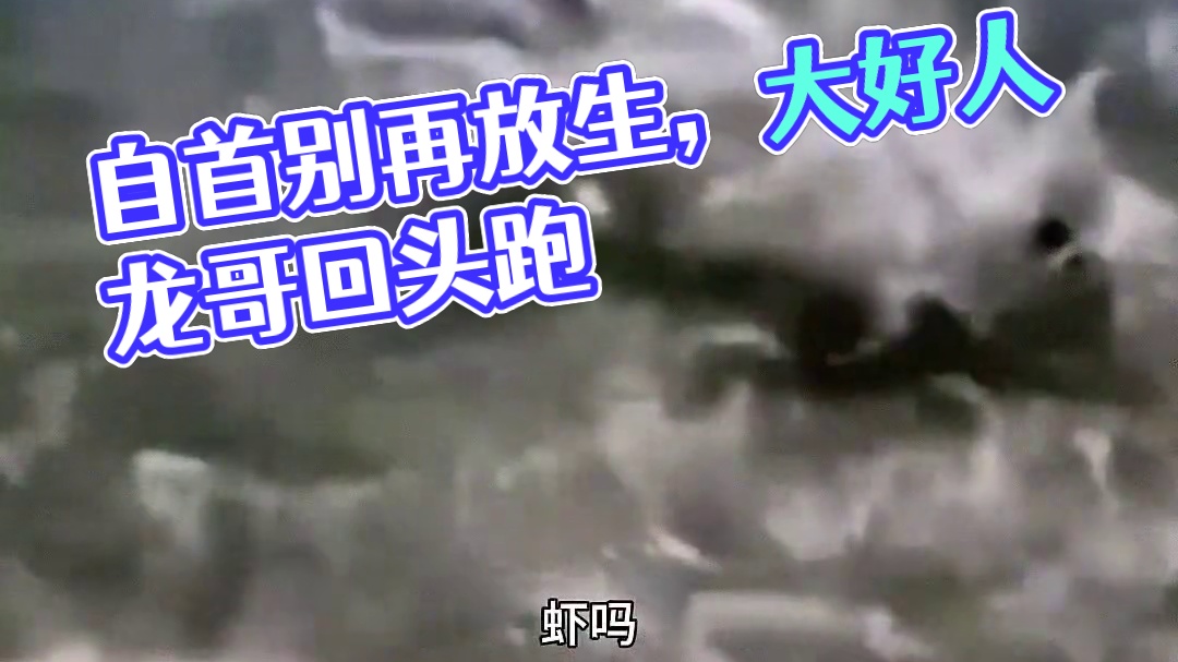 有罪就去自首别老是放生#搞笑 #看一遍笑一遍 #万万想不到