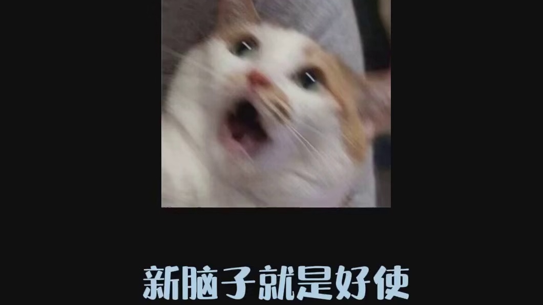 小朋友：那年我双手插兜 不知道什么叫做对手