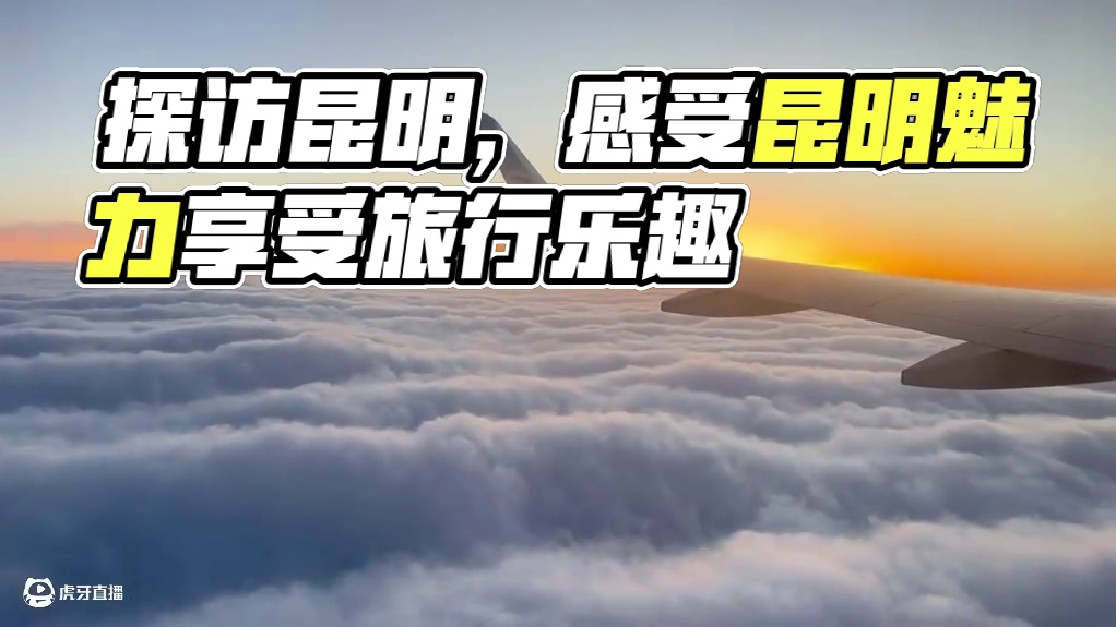 下一站，云南昆明，总要来趟昆明吧，走走滇池路，逛逛南屏街，去趟斗南花市，爬爬长虫山看看日落晚霞，吹吹