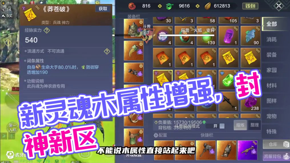 木属性确实增强！新区可以说是封神！ 木属性确实增强！新区可以说是封神！风属性只能说依旧短时间真男人#