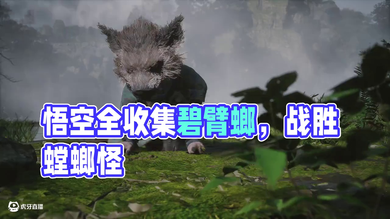 教女朋友玩黑神话悟空全收集白金攻略第六章4未竟：碧臂螂，石子 #黑神话 教女朋友玩黑神话悟空全收集白