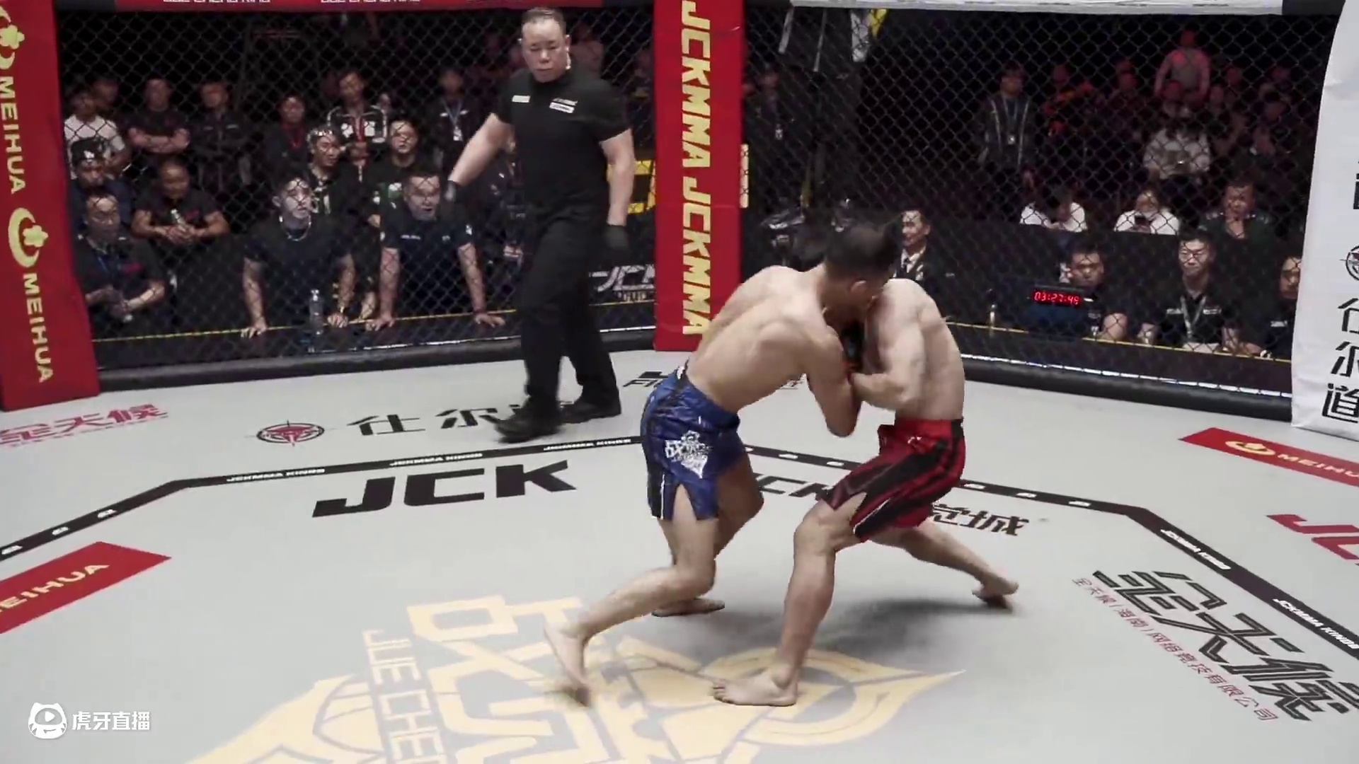 我发布了一个新视频，快来围观吧！