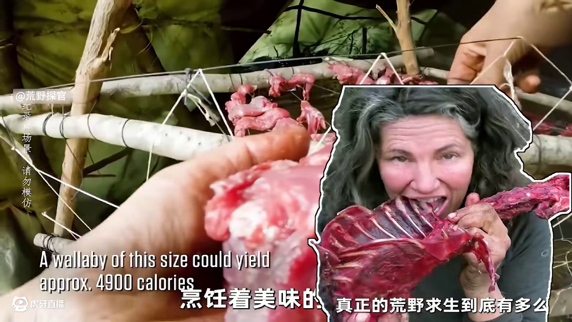 荒野独居 第九季 真正的荒野求生到底有多残酷，眼看比赛已经进行到一个多月，有的选手甚至没吃过任何东西